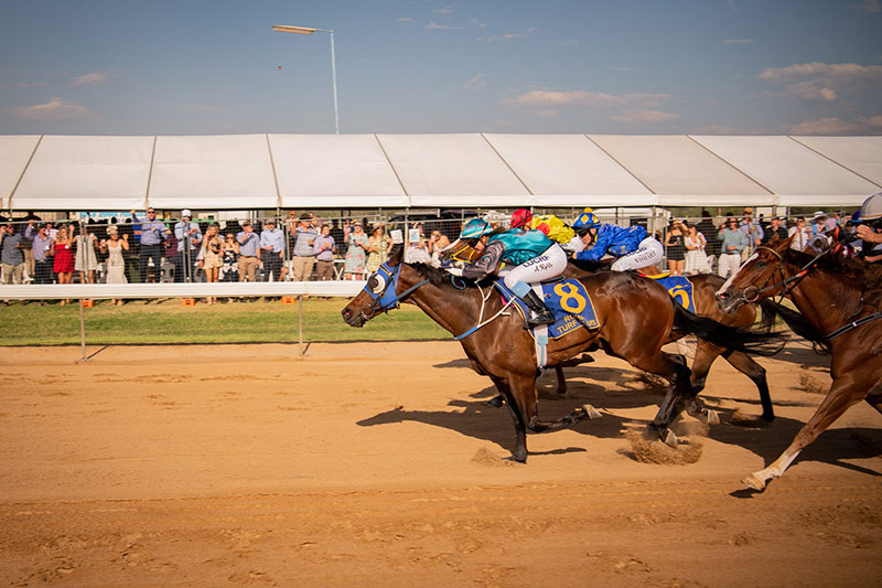 Horses racing in dirt at Roma Picnic Races